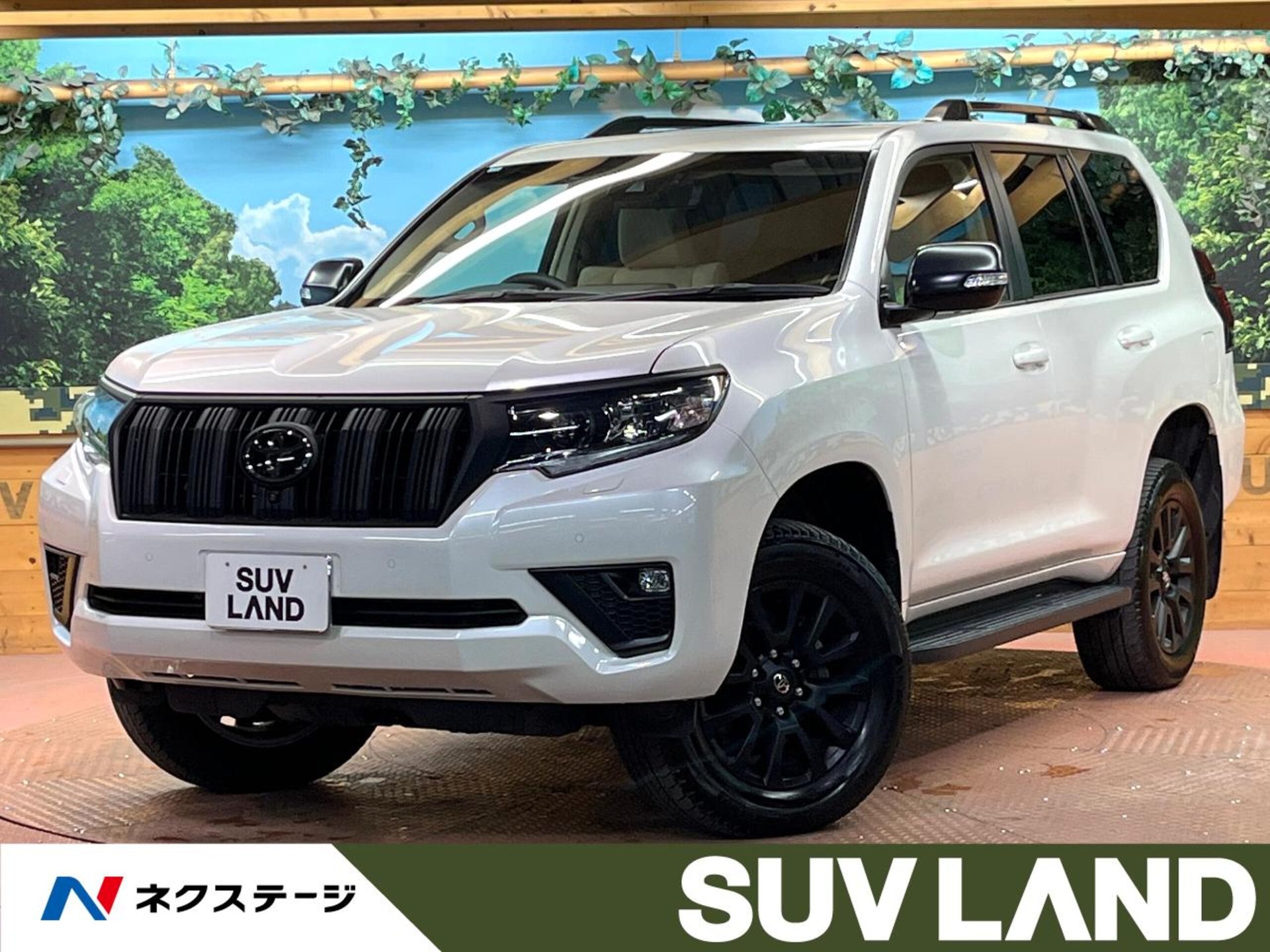 TOYOTA LAND CRUISER PRADO - View 1