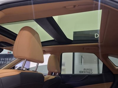 2023 Lexus NX 缩略图 19