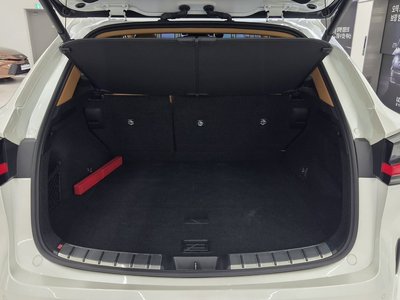 2023 Lexus NX 缩略图 20