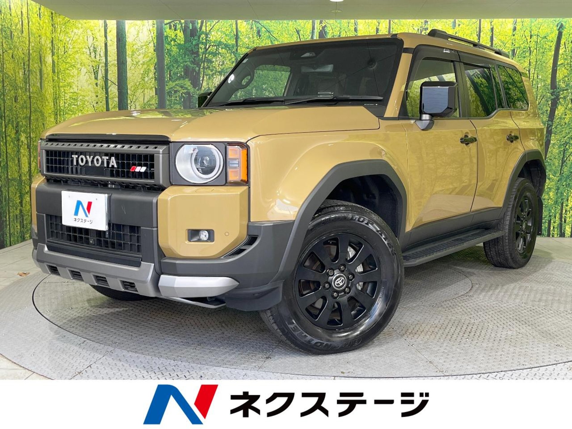 TOYOTA LAND CRUISER 250 - View 1