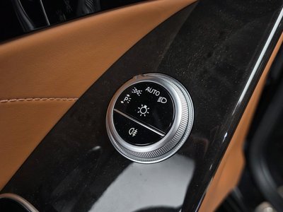 2021 Mercedes-BENZ S-CLASS 缩略图 30