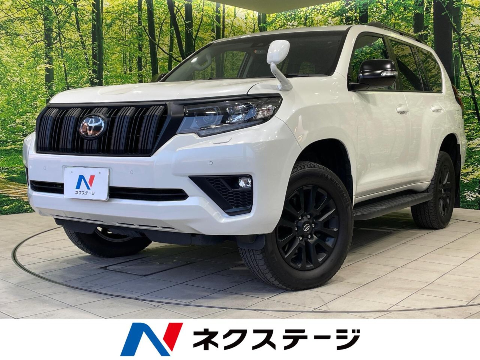 TOYOTA LAND CRUISER PRADO - View 1