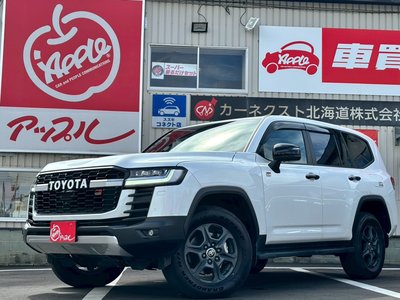 2025 Toyota LAND CRUISER 300 照片 1