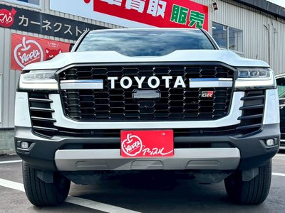 2025 Toyota LAND CRUISER 300 照片 2
