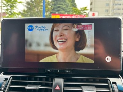 2025 Toyota LAND CRUISER 300 照片 13
