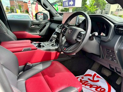 2025 Toyota LAND CRUISER 300 照片 16