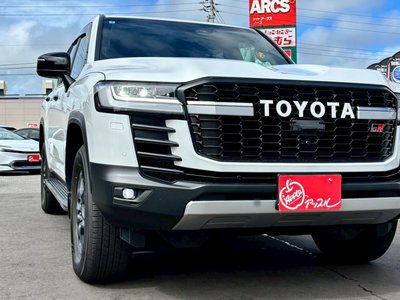 2025 Toyota LAND CRUISER 300 照片 24