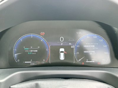 2025 Toyota LAND CRUISER 300 照片 11
