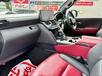 2025 Toyota LAND CRUISER 300 照片 17