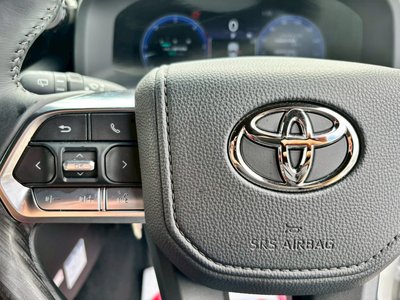 2025 Toyota LAND CRUISER 300 照片 31