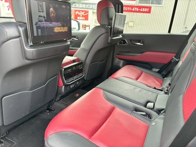2025 Toyota LAND CRUISER 300 照片 19