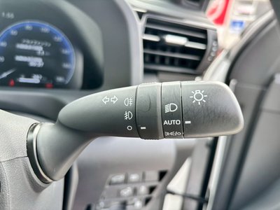 2025 Toyota LAND CRUISER 300 照片 33