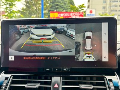 2025 Toyota LAND CRUISER 300 照片 14