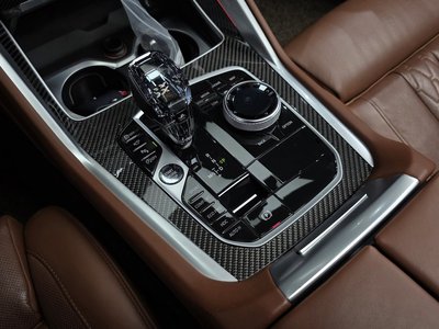 BMW X6 - 9