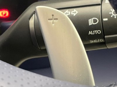 2024 Lexus LC CONVERTIBLE 缩略图 46