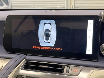 2024 Lexus LC CONVERTIBLE 缩略图 54