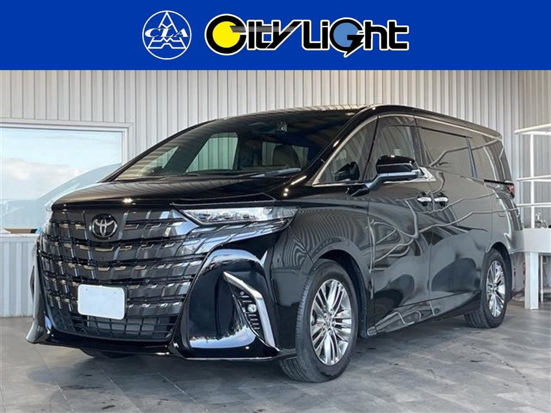 TOYOTA ALPHARD - View 1