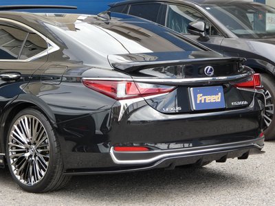 2019 Lexus ES thumbnail 71