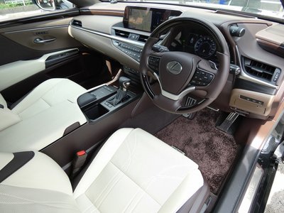 2019 Lexus ES thumbnail 17