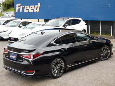 2019 Lexus ES thumbnail 75