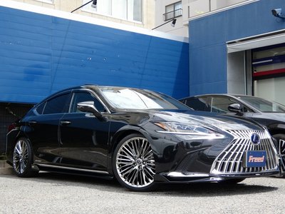 2019 Lexus ES thumbnail 54