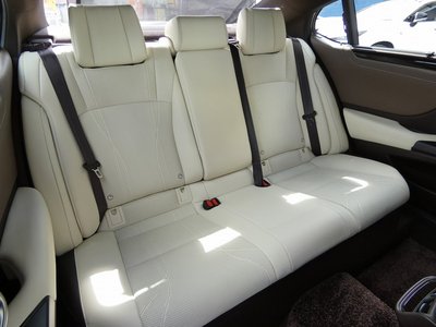 2019 Lexus ES thumbnail 31