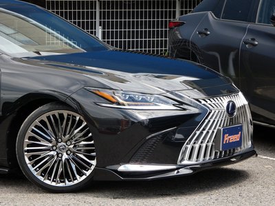 2019 Lexus ES thumbnail 60