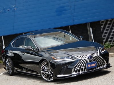 2019 Lexus ES 照片 9