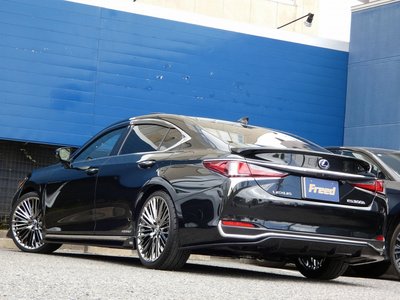 2019 Lexus ES thumbnail 78