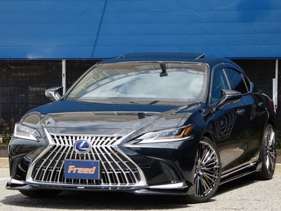 2019 Lexus ES thumbnail 76