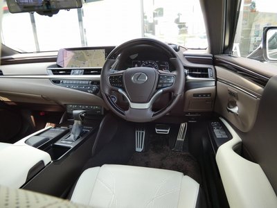 2019 Lexus ES thumbnail 37