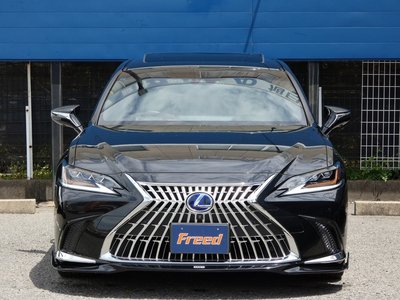 2019 Lexus ES 照片 5