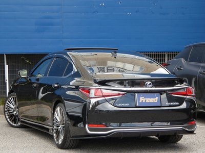 2019 Lexus ES 照片 10