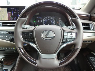 2019 Lexus ES thumbnail 24