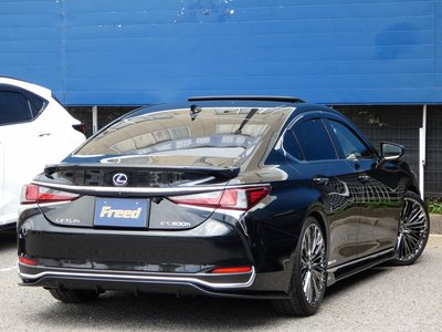 2019 Lexus ES thumbnail 12