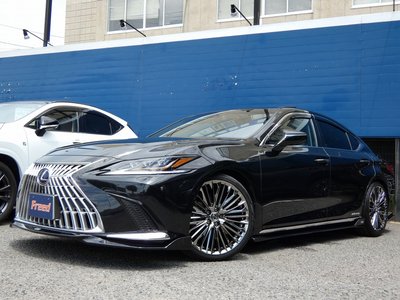 2019 Lexus ES thumbnail 65