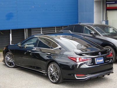 2019 Lexus ES thumbnail 55
