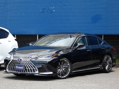 2019 Lexus ES thumbnail 11
