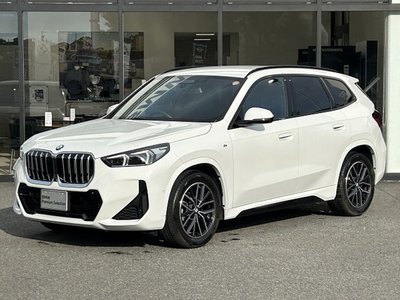 BMW X1 - 1