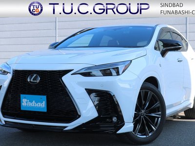 LEXUS NX - 1