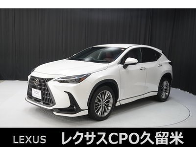 LEXUS NX - 1