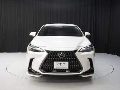 LEXUS NX - 8