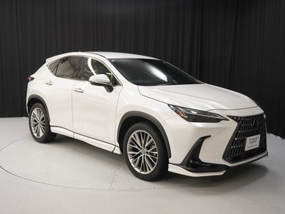 LEXUS NX - 7