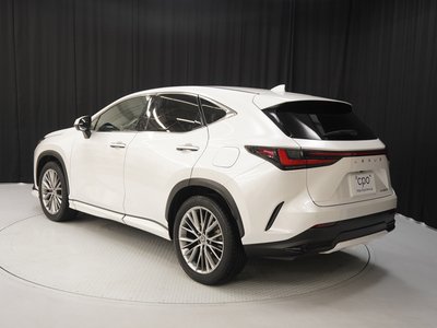 LEXUS NX - 4