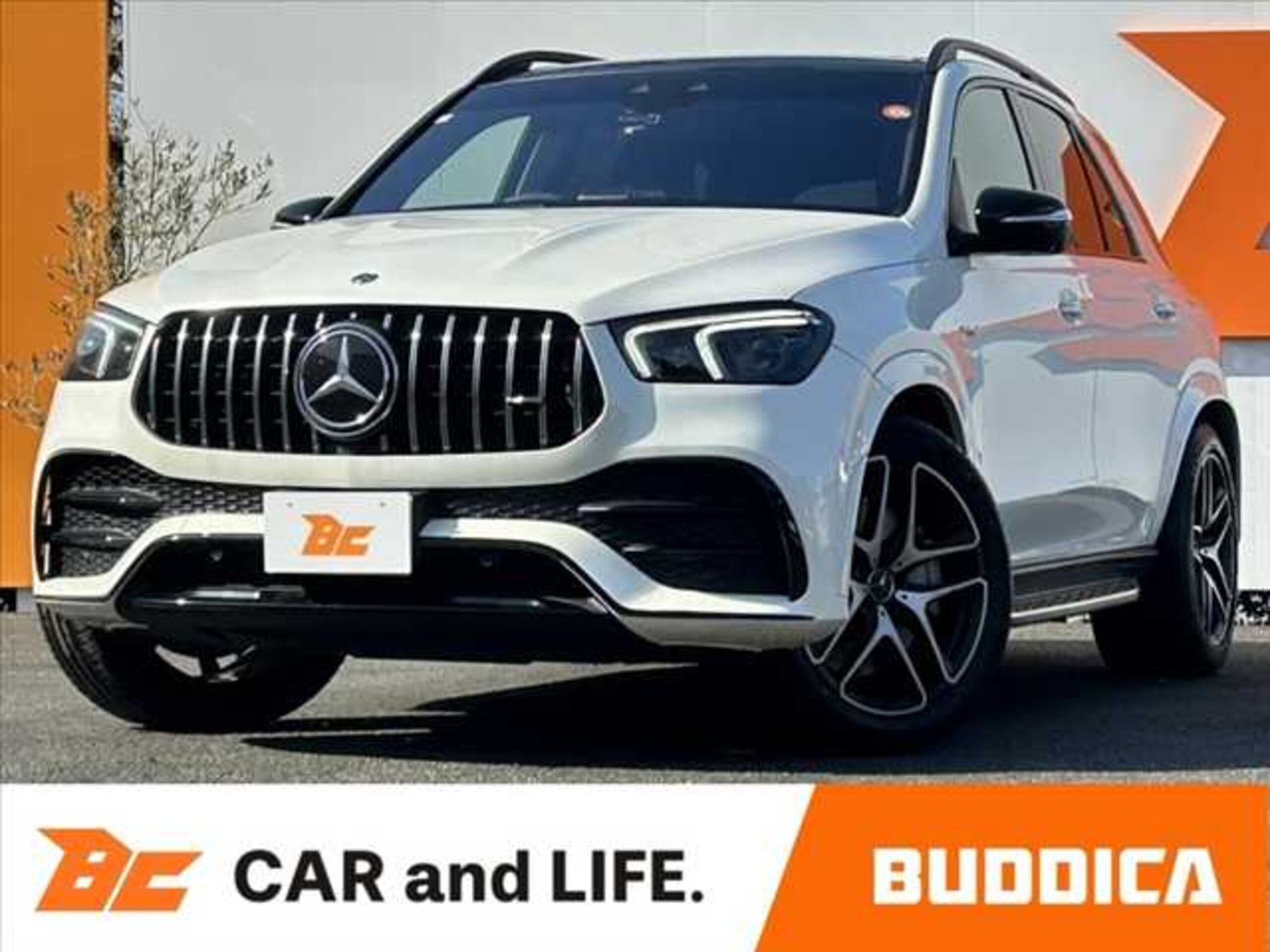 MERCEDES-BENZ GLE AMG - View 1