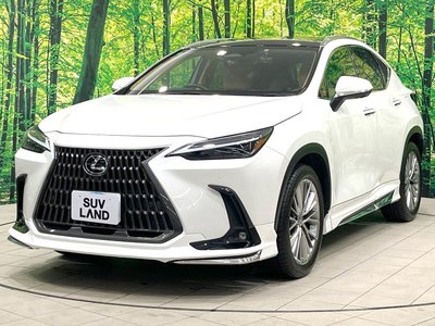 2022 Lexus NX — миниатюра 24