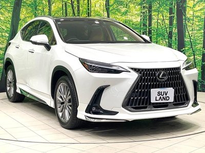 2022 Lexus NX — миниатюра 28