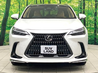 2022 Lexus NX — миниатюра 16