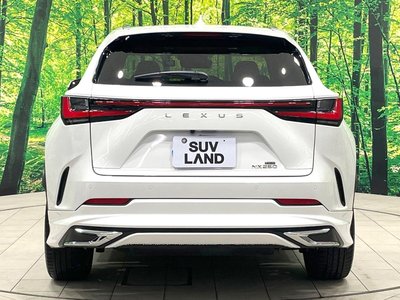 2022 Lexus NX — миниатюра 17