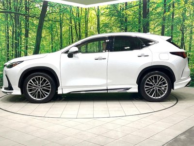 2022 Lexus NX — миниатюра 25